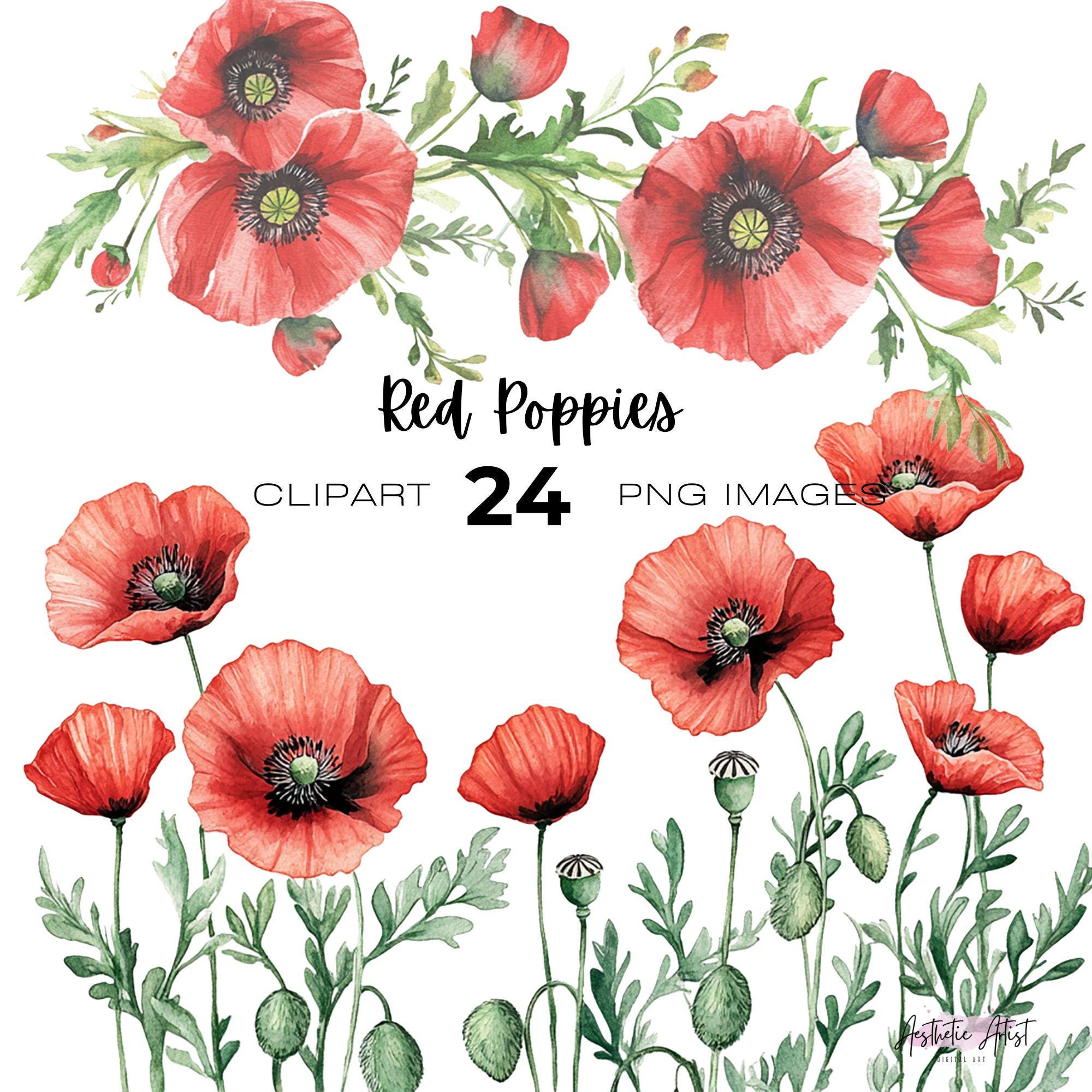 Watercolour Red Poppy Clipart Bundle, Rememberance Day, Poppy Field ...