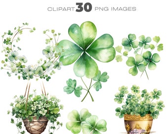 Aquarell Glücksklee Clipart, St. Patrick's Day, irisches Blumen Clipart, vierblättriges Kleeblatt Clipart