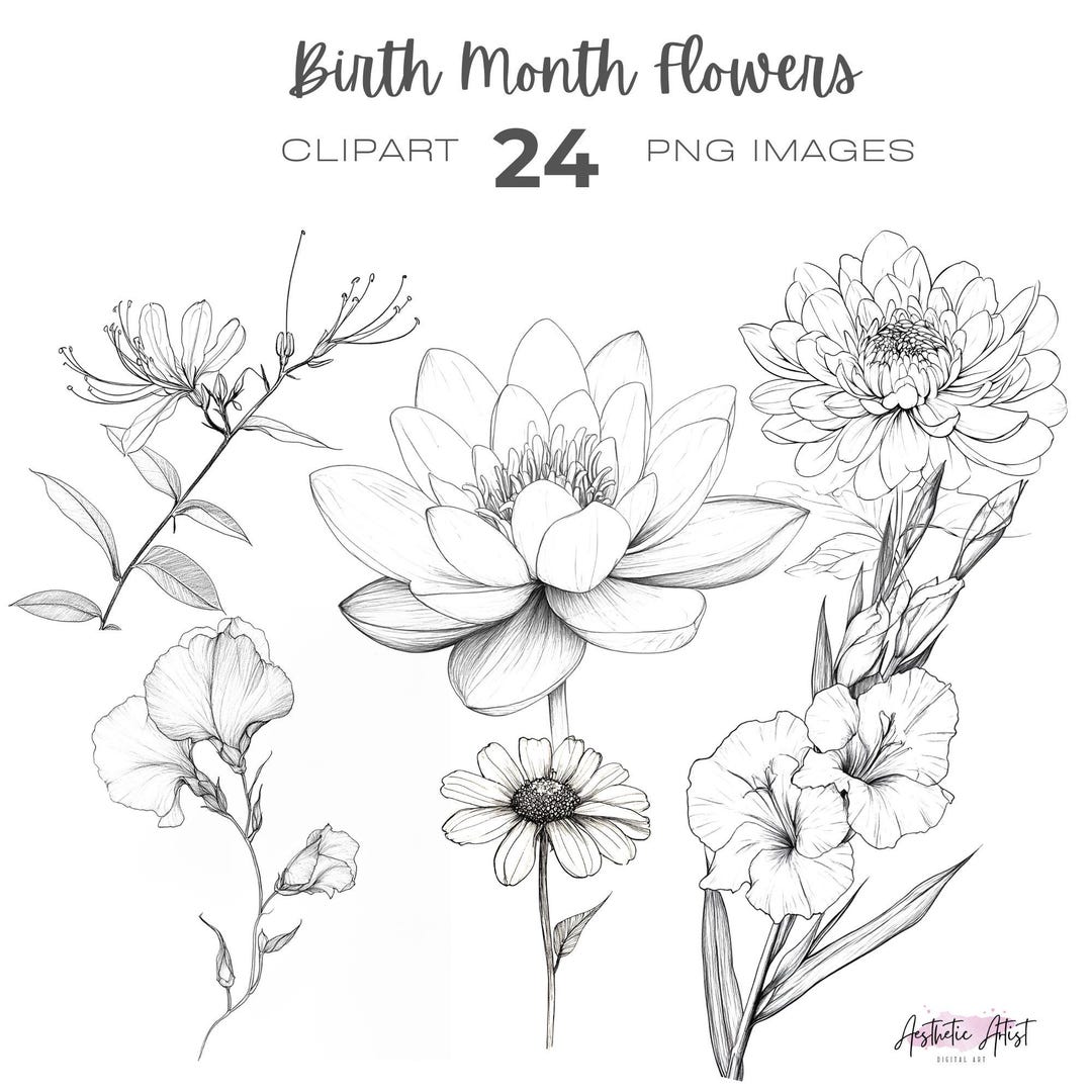 Line Drawing Birth Month Flowers Clipart Bundle Birthday Personalized