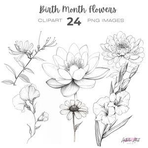 Linie Zeichnung Geburt Monat Blumen Clipart Bundle, Geburtstag, personalisierte Blume Clipart, Geburtstag Monat Clipart