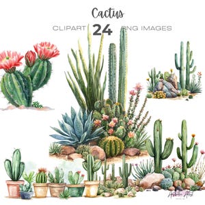 Cactus Clipart, Cacti png, Desert clip art, Succulents clipart, Plant Mom png clipart