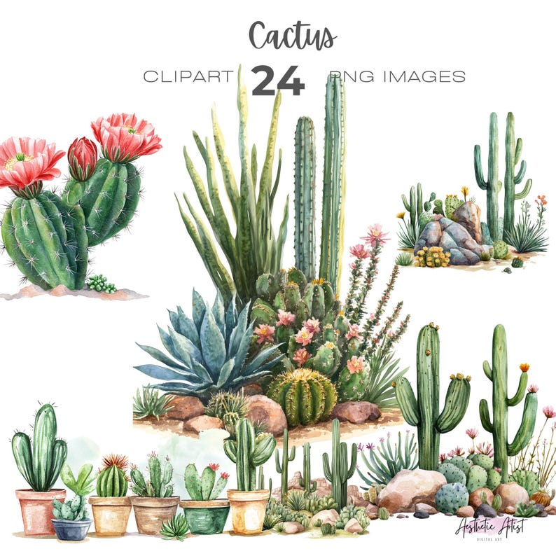 Cactus Clipart, Cacti Png, Desert Clip Art, Succulents Clipart, Plant ...