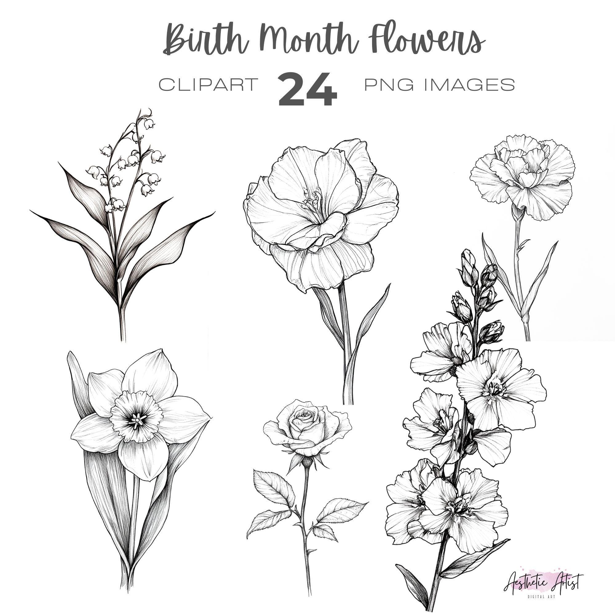 Line Drawing Birth Month Flowers Clipart Bundle Birthday Personalized