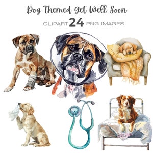 Watercolour Dog Themed Get Well Soon Clipart, Graphics for Dog Lovers Gift, Cone of Shame Png Instant Download, Dog Doctor