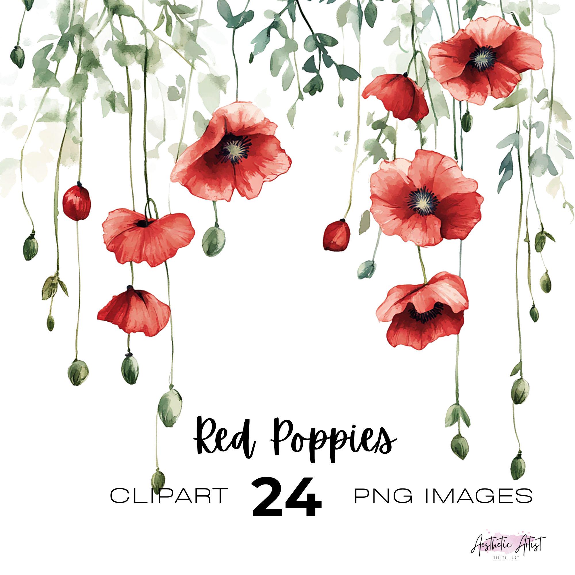 Watercolour Red Poppy Clipart Bundle, Rememberance Day, Poppy Field ...
