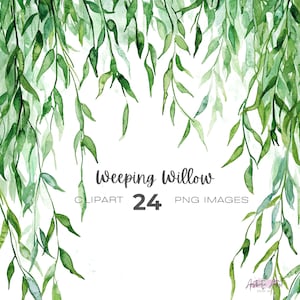 Akvarell gråtande pil clipart bunt, Bröllop, Boho grönska clipart, Krans, Gråtande pilträd clipart