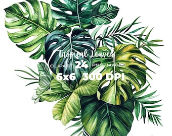 Paquete de imágenes prediseñadas de hojas y plantas tropicales en acuarela, plantas monstera, flores verdes y plantas de interior.