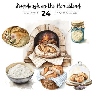 May include: Watercolor illustration of sourdough bread, a rustic brick oven, and jars of sourdough starter. The illustration is titled "Sourdough on the Homestead" with the text "24 PNG Images" below it.