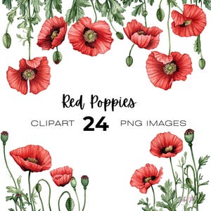 Bundle de clipart aquarelle coquelicot rouge, jour du souvenir, clipart champ de coquelicots, couronne, clipart coquelicots rouges