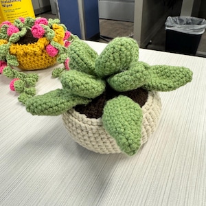 Handmade Crochet Succulent plant | Succulent | Plant |Crochet | Gift