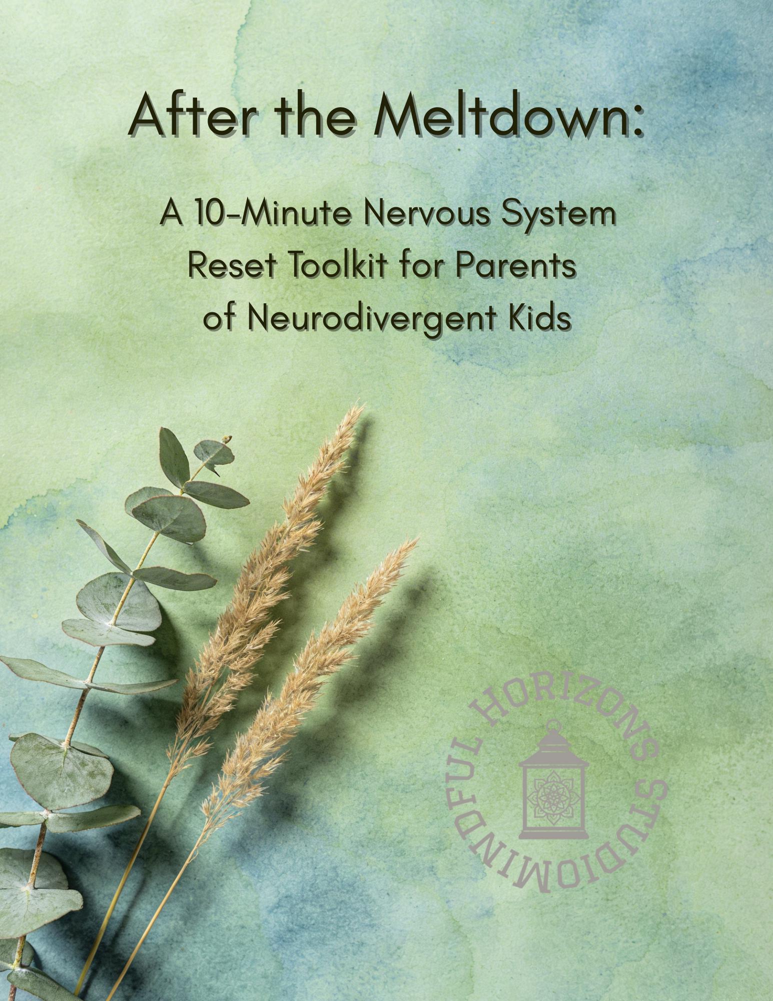 After the Meltdown: Nervous System Reset Toolkit for Parents of ...