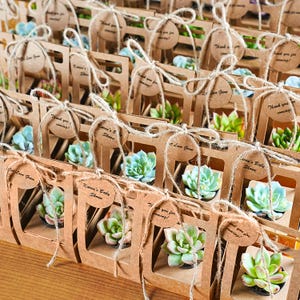 May include: A collection of small succulent plants housed in individual brown cardboard boxes with windows. Each box is tied with twine and features a round paper tag printed with the text Thank you for coming or Karen's Baby Shower.