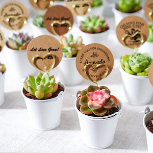 May include: Small white metal buckets filled with succulents, each with a decorative card held by a gold-colored heart-shaped wire. The cards have text such as "Let Love Grow!" and "Thank You for Showering Amanda".