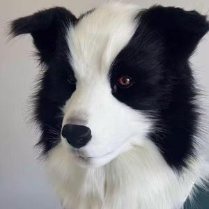May include: A plush border collie dog head featuring realistic black and white faux fur, pointed ears, a black nose, and brown eyes. The soft texture mimics the appearance of a real dog, with a white blaze running up the center of the face.