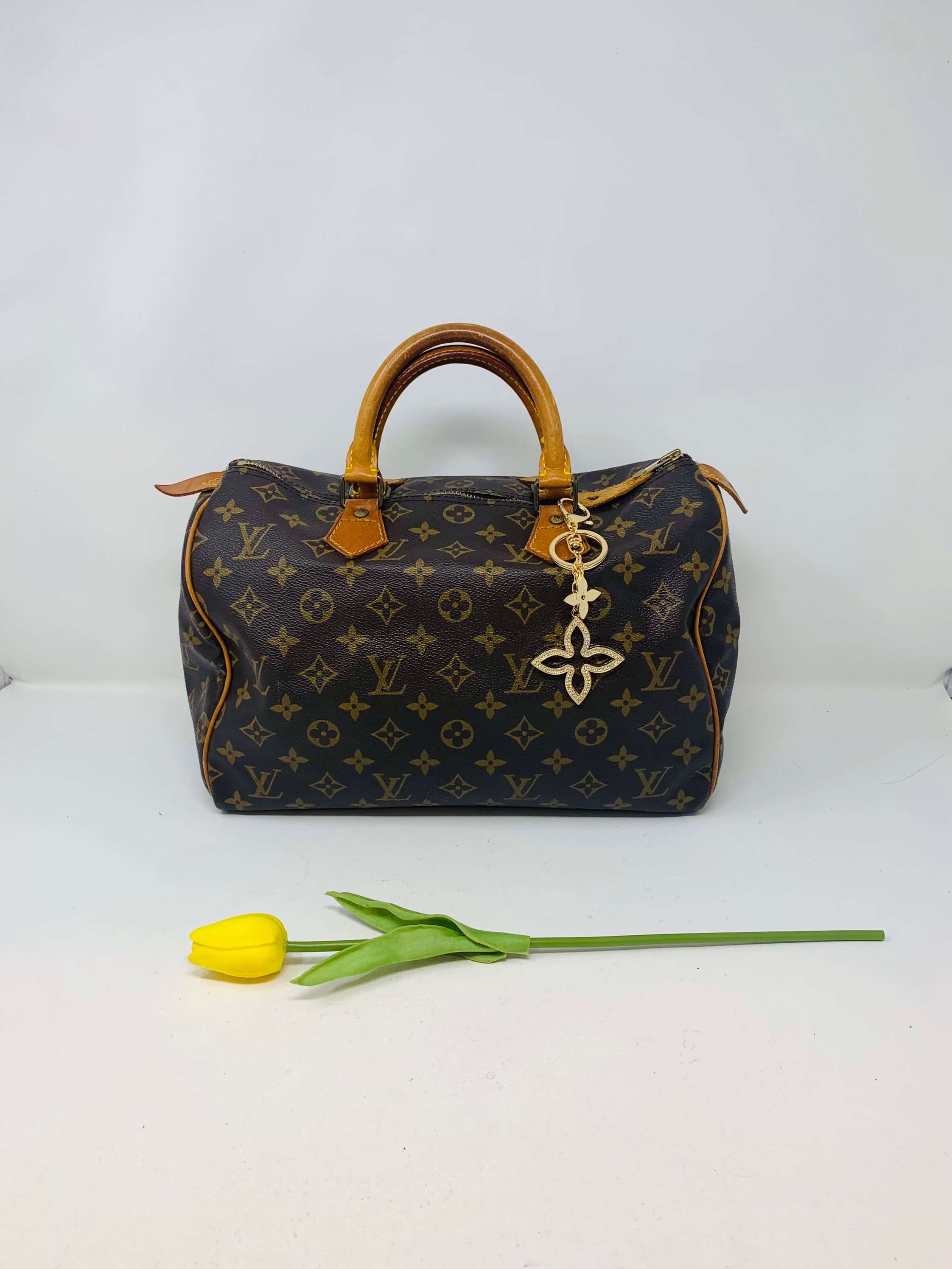 Satin Pillow Luxury Bag Shaper For Louis Vuitton Speedy 25/30/35/40  (Champagne) - More colors available