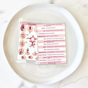 May include: A double-sided medical reference card featuring an anatomy of ischemia diagram with brain cross-sections and a table listing clinical symptoms for various arteries including ICA, ACA, PCA, and SCA, printed in black and pink text.