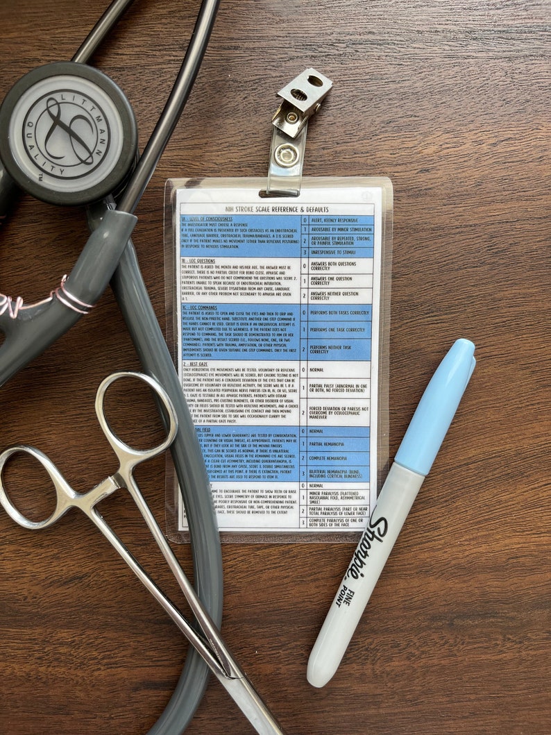 NIH Stroke Scale Defaults Badge Buddy Etsy