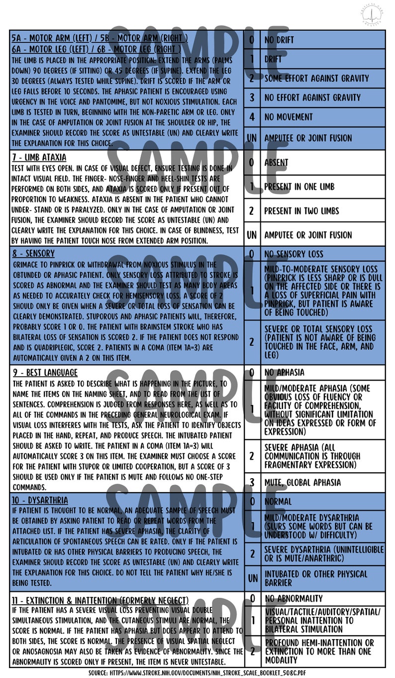 NIH Stroke Scale Defaults Badge Buddy Etsy Canada