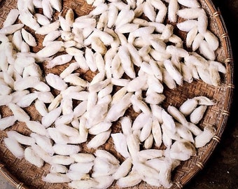 Eri Silkworm Cocoons 1kg
