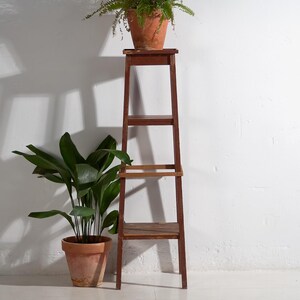 Può includere: Un'alta fioriera in legno marrone scuro con tre ripiani. Un vaso di terracotta con una pianta verde è posto sopra. Un altro vaso di terracotta con una pianta verde è sul pavimento. Il supporto è contro un muro bianco.