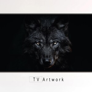 Pode incluir: Um close-up do rosto de um lobo preto, com olhos amarelos penetrantes, contra um fundo escuro. A pelagem do lobo é macia e fofa, e seu nariz é úmido e preto.