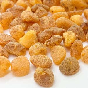 Natural Baltic Amber Loose Beads / Raw Drilled Unpolished Amber