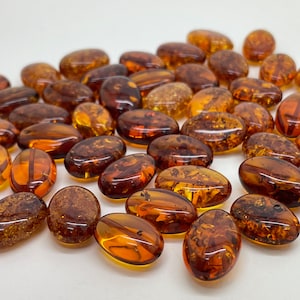 Amber 17mm. Cognac Beads / Bean Shape Loose Beads