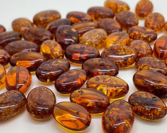 Amber 17mm. Cognac Beads / Bean Shape Loose Beads