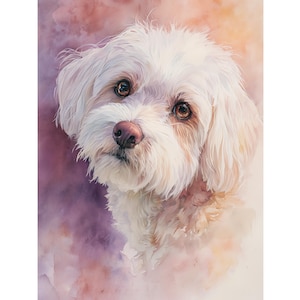 Maltese Dog Watercolor Portrait: Elegant Malteser Art Print
