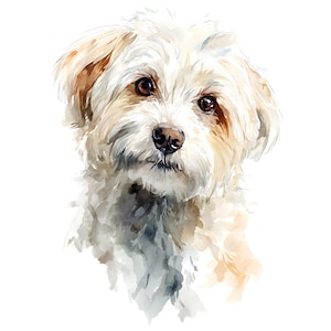 Maltese Dog Watercolor Portrait: Elegant Pet Art Print