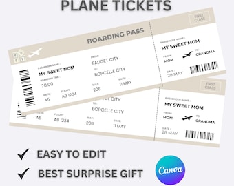 Editable Pregnancy Announcement Plane Ticket: Baby Reveal Gift (Digital Download Canva Template, 8.5x2.75 inches)
