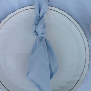 100 piece Sky Blue Cotton napkins, Kitchen Napkin, Brown Washable Wedding Napkins, Cotton Napkins, Stonewashed Wedding Napkin