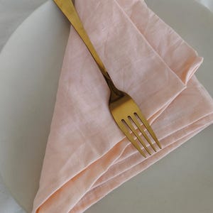 May include: A pale pink linen napkin folded into a triangle shape on a white plate with a gold fork on top.
