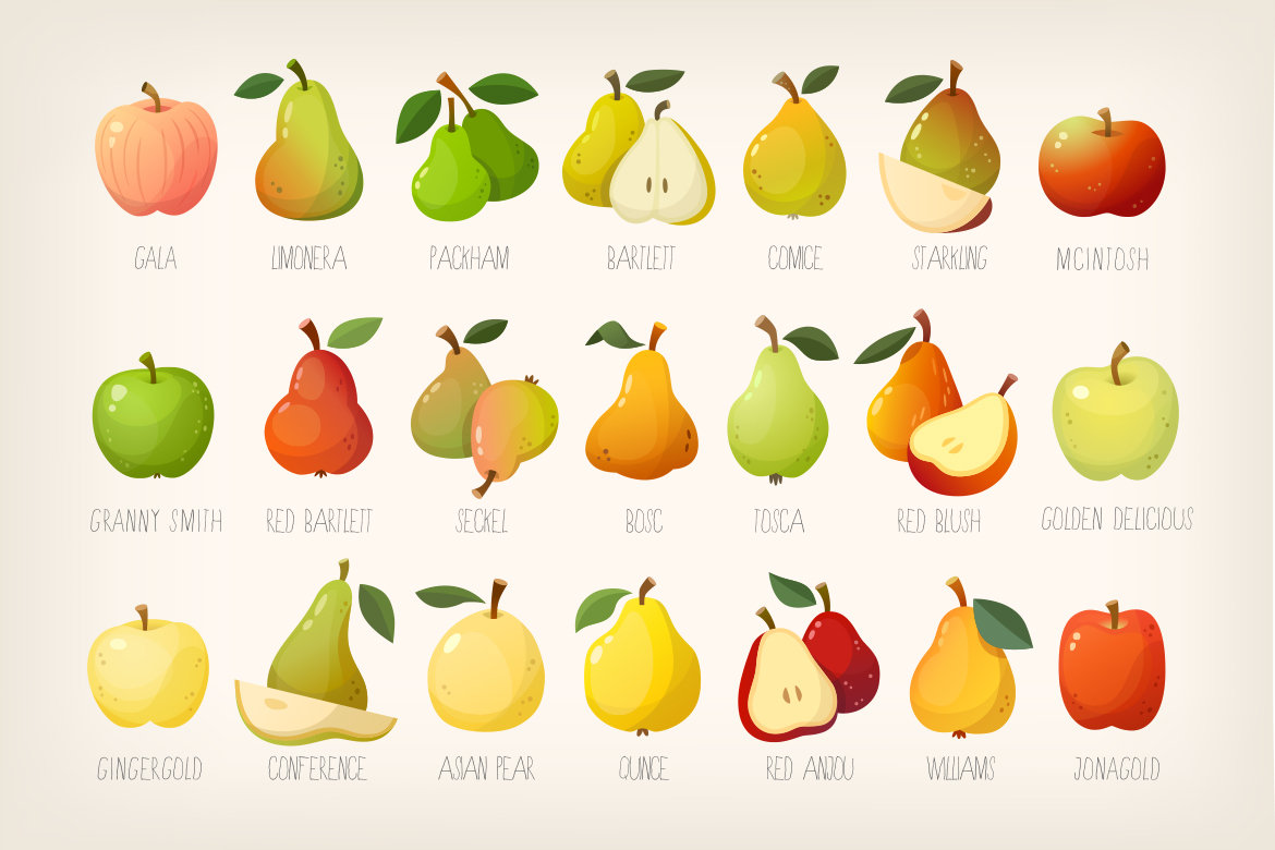 Set of various kinds of pears and apples with names - vivid clipart, sweets stickers, commercial license, autumn icons