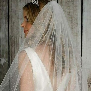 Bling Cathedral Wedding Veil, Sparkle Veil for Bride, Luxury Glitter ...
