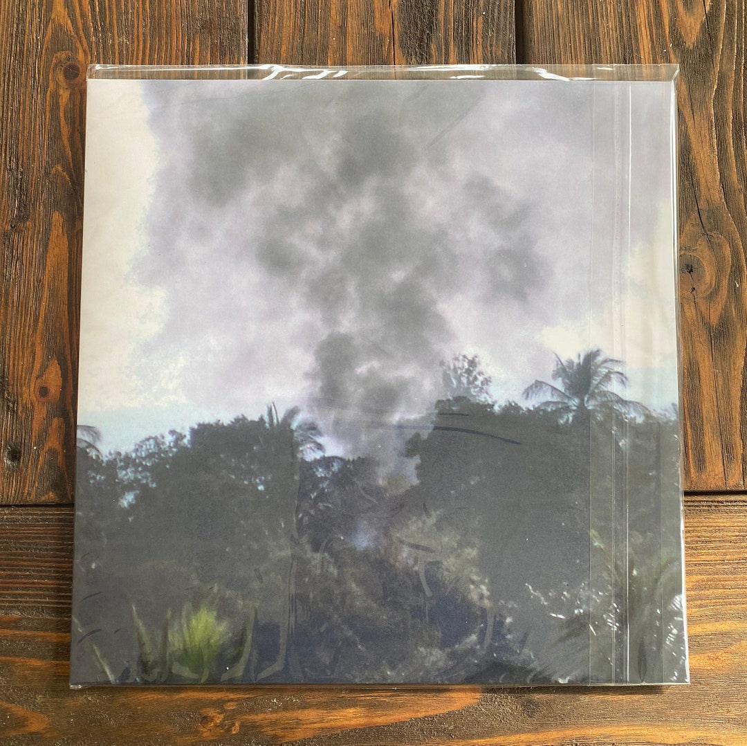 Trash Island 1LP 12 Vinyl Record Drain Gang Bladee Etsy