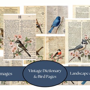 Puede incluir: Un conjunto de 21 páginas de diccionario vintage con ilustraciones de aves. Las imágenes muestran aves coloridas posadas en ramas con flores, sobre un fondo de páginas de diccionario envejecidas. También se ve el texto "Vintage Dictionary & Bird Pages".