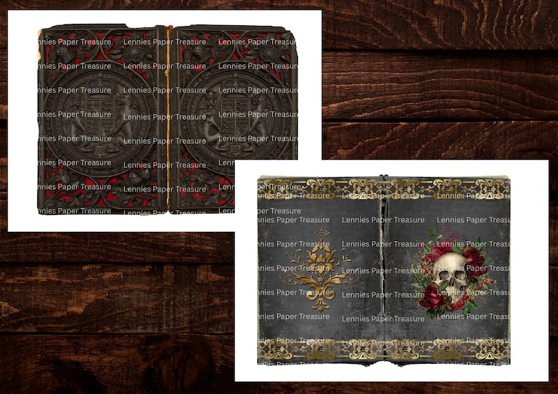 Puede incluir: Dos portadas de libro abiertas mostradas lado a lado. La portada izquierda es marr&oacute;n oscuro con un escudo en relieve y detalles rojos. La derecha es gris oscuro con un dise&ntilde;o de filigrana dorada y una ilustraci&oacute;n de un cr&aacute;neo humano.