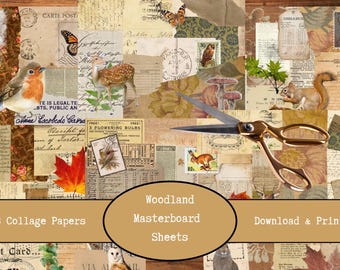 May include: A collage of vintage papers with woodland illustrations, including a bird, deer, squirrel, and butterflies. Gold scissors are in the center. The text reads "Woodland Masterboard Sheets" and "8 Collage Papers".