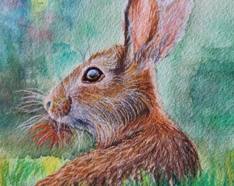 Watercolour Hare 10 x 8 inches Watercolor Painting Cute Animal Artwork HARE Art