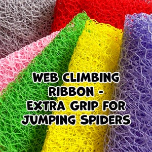 May include: A close-up of several rolls of colourful web climbing ribbon. The rolls are in shades of red, green, yellow, purple, pink, and grey. Text on the image reads "WEB CLIMBING RIBBON - EXTRA GRIP FOR JUMPING SPIDERS."