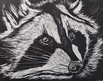 Racoon