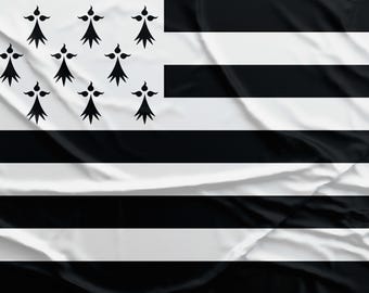 Home King Blason De La Bretagne Flags Banner 3X5FT 100