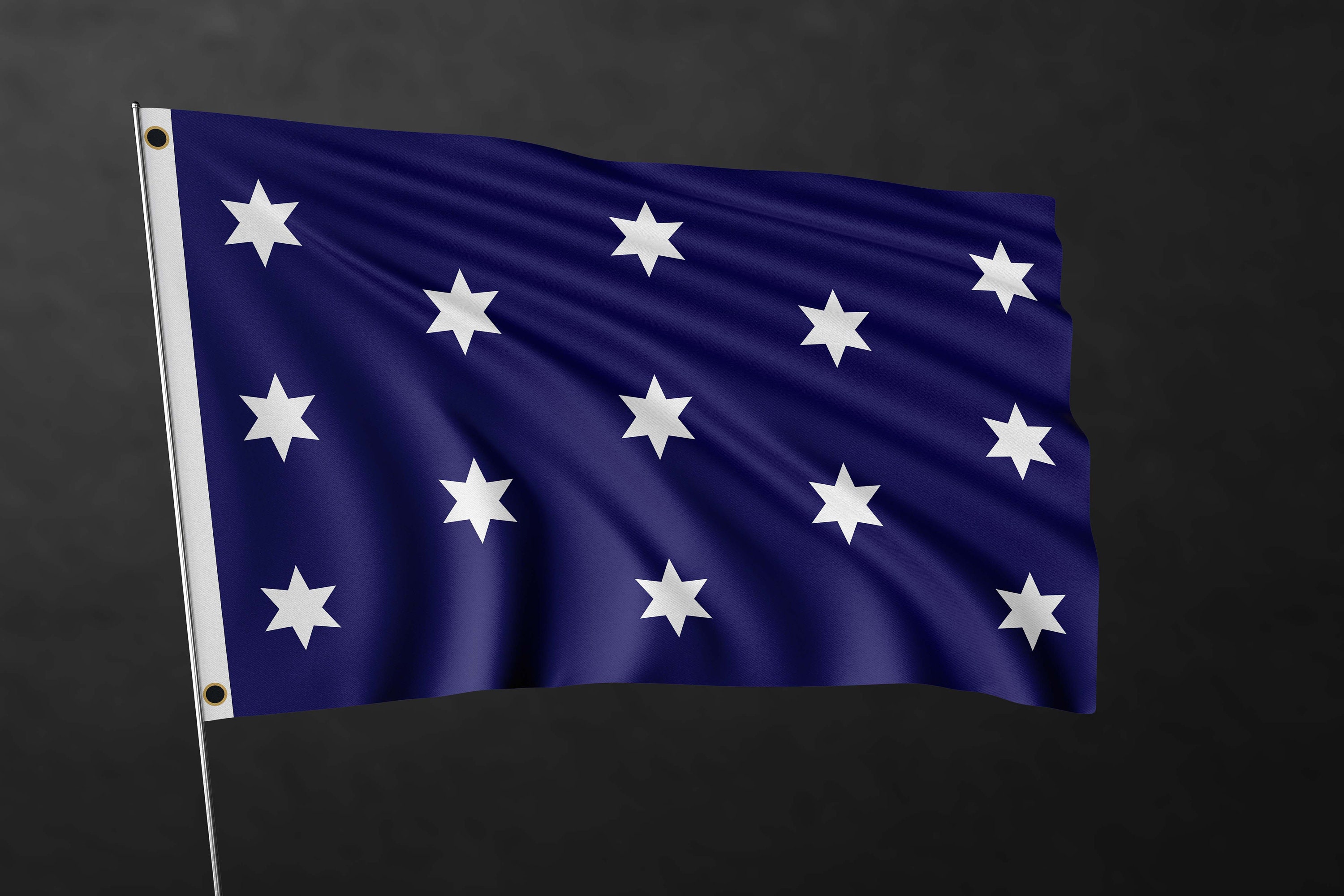 モ*ナ様 WA commander governmemt premiumedit Washington's Commander-in-chief Flag Banner | High Quality