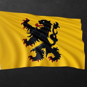 May include: A yellow flag featuring a black lion rampant, a heraldic symbol often associated with the region of Flanders, Belgium.