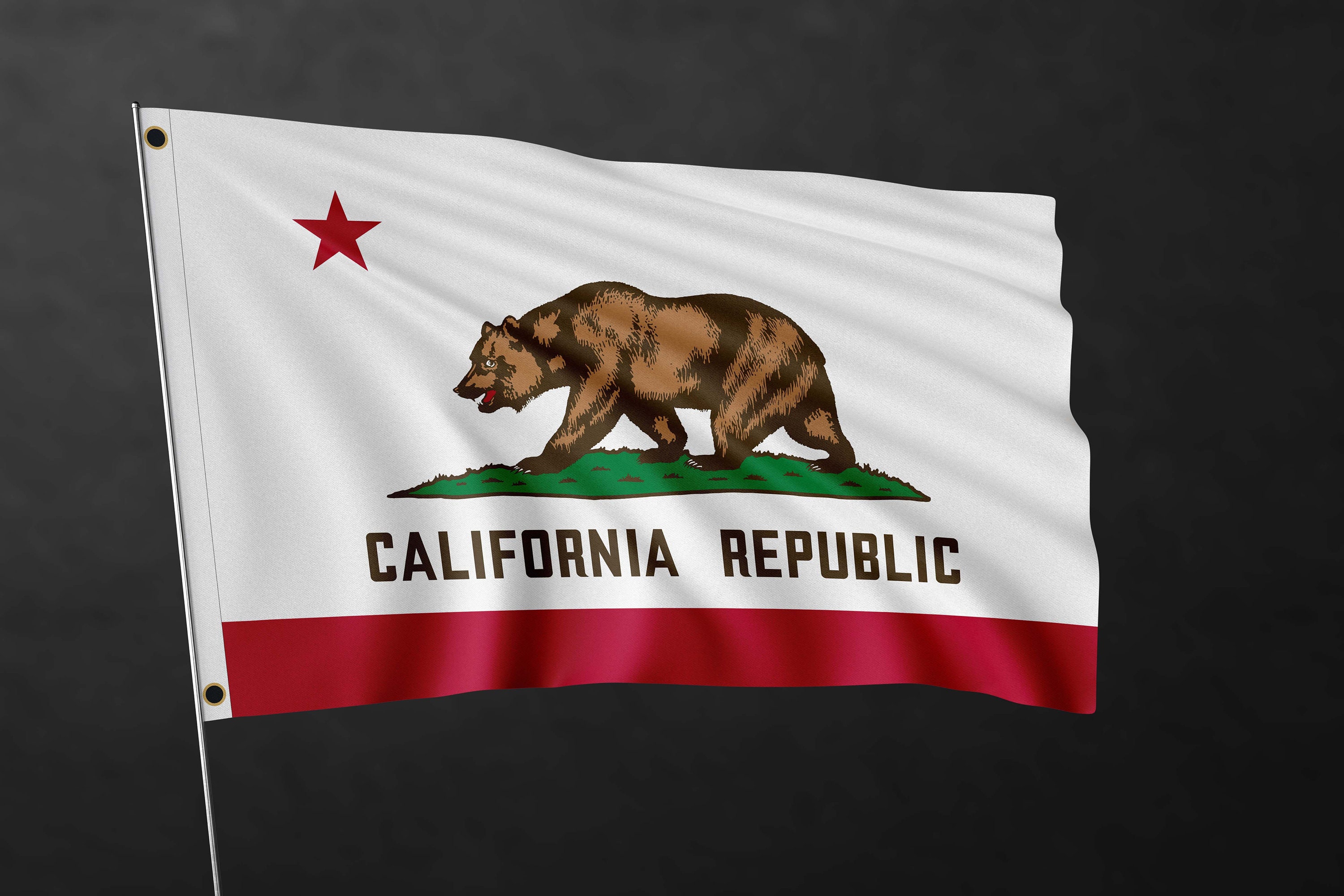 California Republic Flag Banner | United States of America Flags