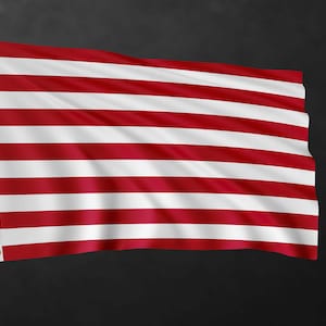 Sons of Liberty Flag Banner | High Quality Materials