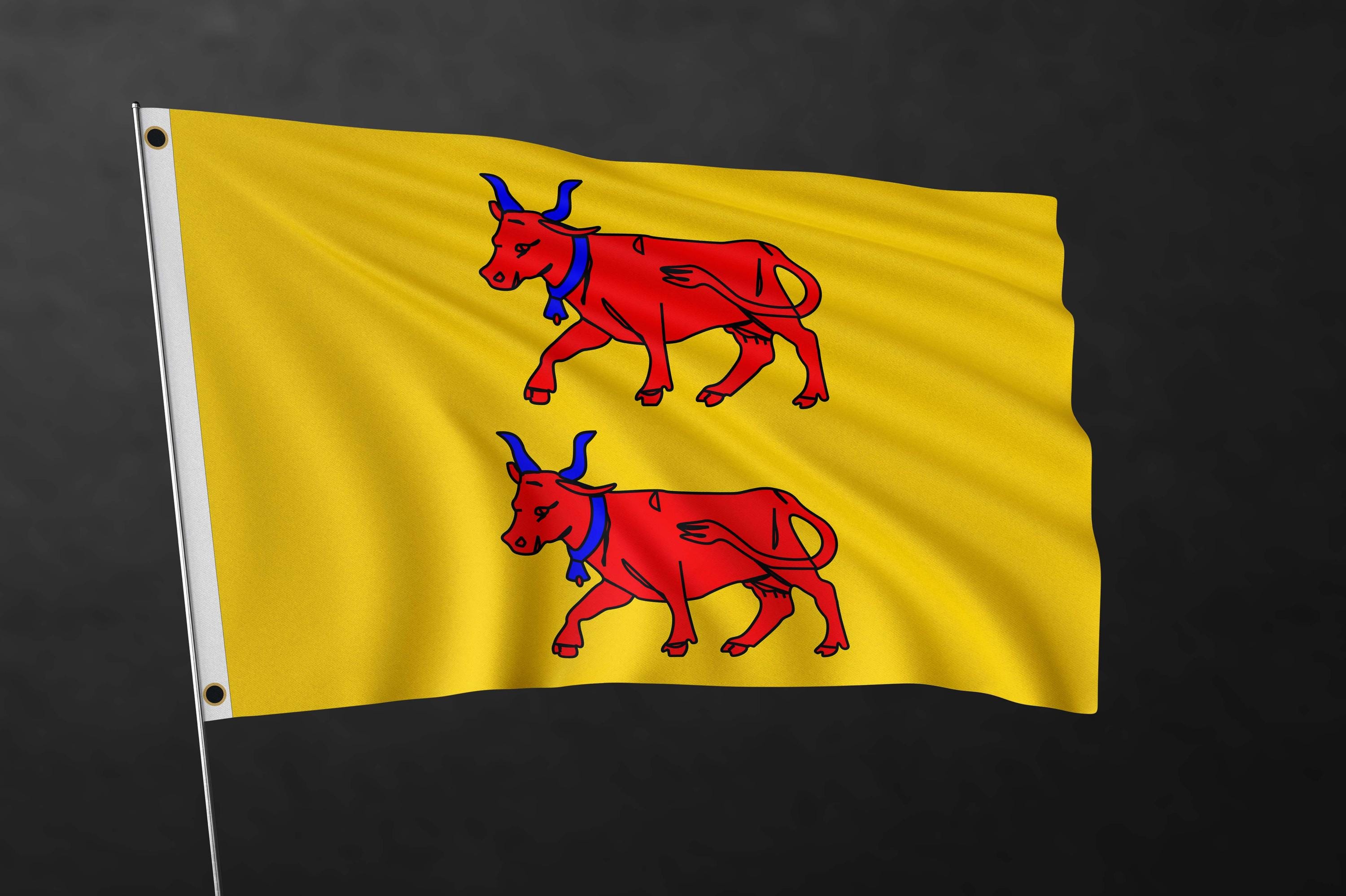 Stormflag Drapeau de l'Ordre de Malte 90 x 150 cm en polyester avec deux œillets et double couture Stormflag Drapeau de l'Ordre de Malte 90 x 150 cm en polyester avec deux œillets et double couture