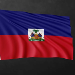 Pode incluir: Bandeira haitiana a ondear, com a parte superior azul e a inferior vermelha. O centro apresenta o brasão de armas haitiano num quadrado branco. A bandeira está num mastro branco sobre um fundo escuro.