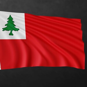 Continental Flag Banner | High Quality Materials